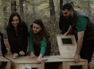 Leyla Əliyeva, Arzu Əliyeva və Alena Əliyeva Lənkəranda ekoloji aksiyalarda iştirak ediblər