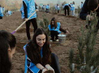 Leyla Əliyeva, Arzu Əliyeva və Alena Əliyeva Lənkəranda ekoloji aksiyalarda iştirak ediblər