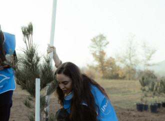 Leyla Əliyeva, Arzu Əliyeva və Alena Əliyeva Lənkəranda ekoloji aksiyalarda iştirak ediblər