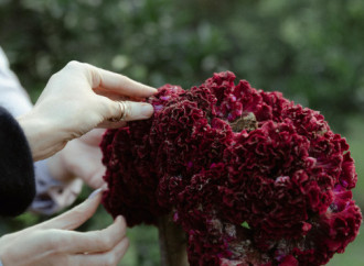 Leyla Əliyeva, Arzu Əliyeva və Alena Əliyeva Lənkəranda fermer təsərrüfatı ilə tanış olublar