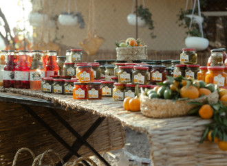 Leyla Əliyeva, Arzu Əliyeva və Alena Əliyeva Lənkəranda fermer təsərrüfatı ilə tanış olublar