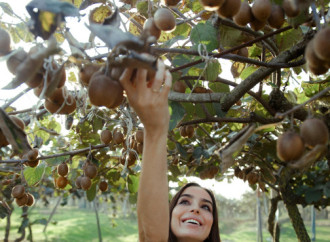 Leyla Əliyeva, Arzu Əliyeva və Alena Əliyeva Lənkəranda fermer təsərrüfatı ilə tanış olublar