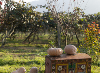 Leyla Əliyeva, Arzu Əliyeva və Alena Əliyeva Lənkəranda fermer təsərrüfatı ilə tanış olublar