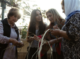 Leyla Əliyeva, Arzu Əliyeva və Alena Əliyeva Lənkəranda fermer təsərrüfatı ilə tanış olublar