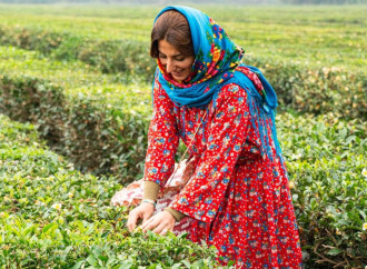 Türkiyəli mütəxəssislərlə aqroturizm üzrə təcrübə mübadiləsi aparılıb