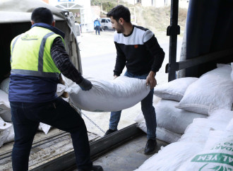 Laçın, Xocalı, Ağdərə və Xocavənddə  yeni kiçik ailə biznesləri yaradılıb