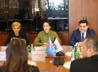 Ombudsman BMT-nin ölkəmizdəki rezident əlaqələndiricisini qəbul edib