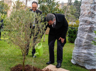 Cevdet Yılmaz TÜRKPA Beynəlxalq Katibliyini ziyarət edib