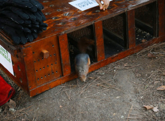Heydər Əliyev Fondunun vitse-prezidenti Leyla Əliyeva Mərkəzi Nəbatat bağında uşaqlar üçün təşkil olunan tədbirdə iştirak edib