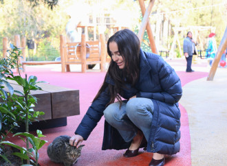 Heydər Əliyev Fondunun vitse-prezidenti Leyla Əliyeva Mərkəzi Nəbatat bağında uşaqlar üçün təşkil olunan tədbirdə iştirak edib
