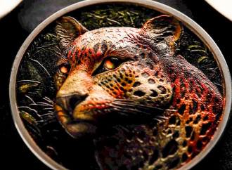 Nadir fauna növləri adlı yeni nəsil sikkə və xalça kolleksiyaları təqdim edilib