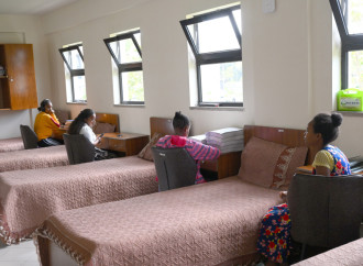 Heydər Əliyev Fondunun vitse-prezidenti Leyla Əliyeva Əddis-Əbəbədə bir sıra sosial və mədəni obyektlərlə tanış olub