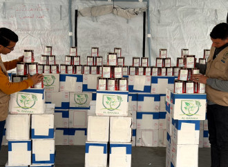 2025-ci ildə kəsilən qurbanlıq ətlər Qəzzada ehtiyac sahiblərinə çatdırılıb