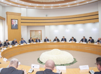 Zaqatalada qəhvəyi mərmər bağacığına qarşı mübarizə tədbirləri müzakirə edilib