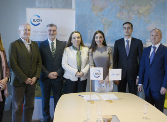 Heydər Əliyev Fondunun vitse-prezidenti Leyla Əliyeva və Qretel Agilar İsveçrədə əməkdaşlıq imkanlarını müzakirə ediblər