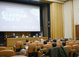 Heydər Əliyev Fondunun vitse-prezidenti Leyla Əliyevanın iştirakı ilə Cenevrədə Xəzər dənizinin ekoloji problemləri müzakirə olunub