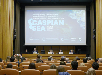 Heydər Əliyev Fondunun vitse-prezidenti Leyla Əliyevanın iştirakı ilə Cenevrədə Xəzər dənizinin ekoloji problemləri müzakirə olunub