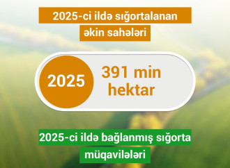 Ölkəmizdə əkin sahələrinə verilən sığorta təminatı 600 milyon manata yaxınlaşıb