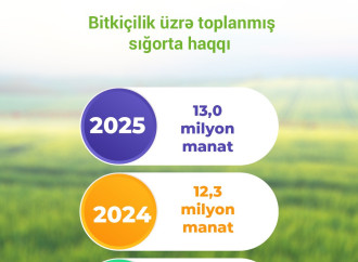 Ölkəmizdə əkin sahələrinə verilən sığorta təminatı 600 milyon manata yaxınlaşıb