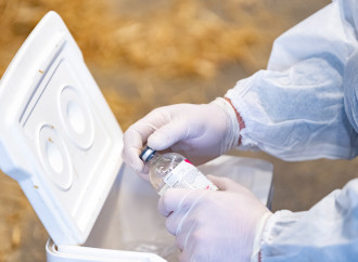 Ölkə üzrə heyvanlar arasında xüsusi təhlükəli xəstəliklərə qarşı peyvəndləmə tədbirlərinə başlanılıb