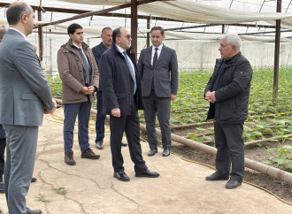 AKİA sədri Yalçın Camalov Tovuzda vətəndaşları qəbul edib, təsərrüfatlara baş çəkib