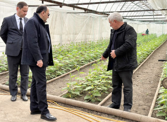 AKİA sədri Yalçın Camalov Tovuzda vətəndaşları qəbul edib, təsərrüfatlara baş çəkib