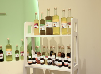 Heydər Əliyev Fondunun vitse-prezidenti Leyla Əliyeva və Alena Əliyeva Gəncədə qadın sahibkarın sağlam qida brendi ilə tanış olublar