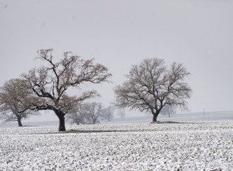 “İvanovka Aqropark”a qeydiyyat şəhadətnaməsi təqdim edilib