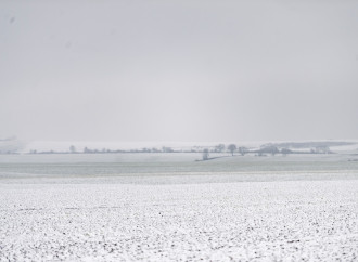 “İvanovka Aqropark”a qeydiyyat şəhadətnaməsi təqdim edilib