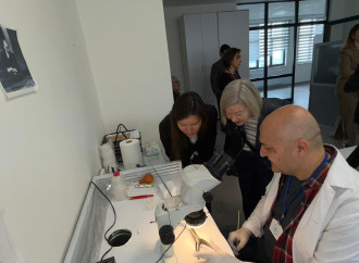 Ankarada Türk Dünyası Bərpa və Konservasiya Şəbəkəsi üzrə beynəlxalq proqram başladı