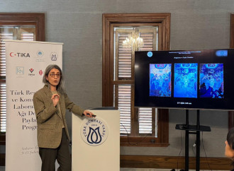 İstanbulda “Türk Bərpa və Konservasiya Laboratoriyaları Şəbəkəsi” proqramı başa çatıb