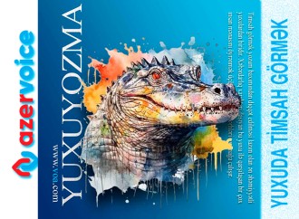 Yuxuda timsah görmək necə yozulur?