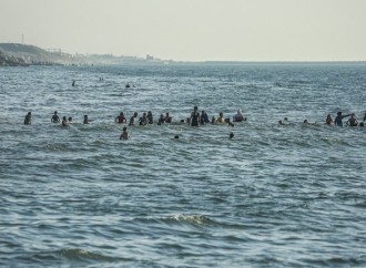 Qəzzada vəba epidemiyası riski barədə xəbərdarlıq edilib