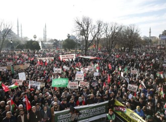 İHH İnsan Haqları Günündə Fələstinə dəstək yürüşləri təşkil edib