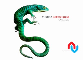 Yuxuda kərtənkələ görmək necə yozulur?