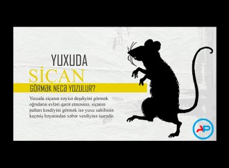 Yuxuda siçan görmək necə yozulur?