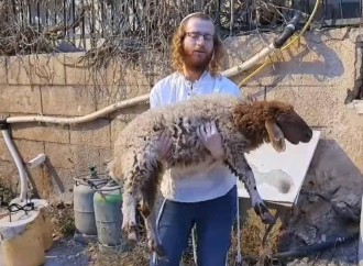 Niyə yəhudilər Məscidül-Əqsada qurban kəsməyə çalışırlar?