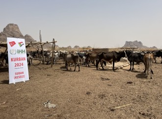 Sudanda 14 milyonu uşaq olmaqla 25 milyon insan humanitar yardım gözləyir