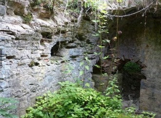 Oğuzun unudulan tarixi irsi – Surxayxan qalaları