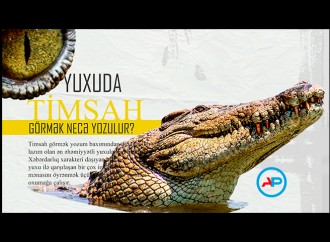 Yuxuda timsah görmək necə yozulur?