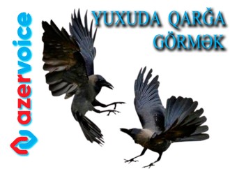 Yuxuda qarğa görmək necə yozulur