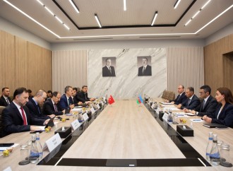 Rəşad Nəbiyev Haluk Görgünlə görüşüb