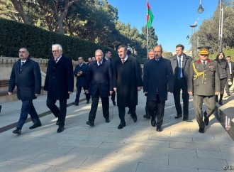 Türkiyənin vitse-prezidenti Şəhidlər Xiyabanını və “Türk şəhidliyi” abidəsini ziyarət edib