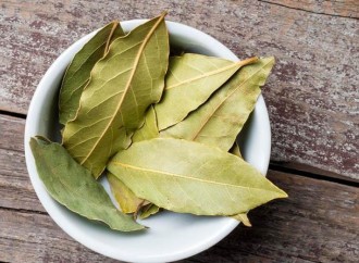 Dünyanın dəfnə yarpağı ehtiyacını Türkiyə qarşılayır