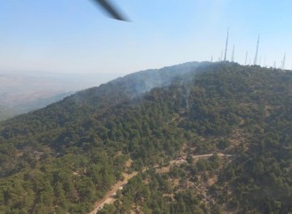 İzmirdə baş verən meşə yanğını nəzarət altına alınıb