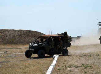 Qafqaz Qartalı - 2024 təliminin “Yüksək Səviyyəli Müşahidəçi Günü” keçirilib