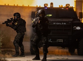 Azərbaycanda bu ilin altı ayında xüsusilə ağır cinayətlər törədən 119 kriminal qrup zərərsizləşdirilib