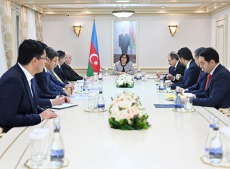 Sahibə Qafarova TBMM və TürkPA-nın nümayəndə heyətləri ilə görüşlər keçirib