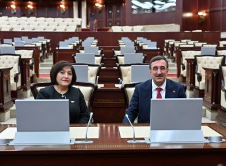 Sahibə Qafarova Cevdet Yılmazla görüşüb