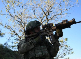 Suriya və İraqın şimalında 13 terrorçu zərərsizləşdirilib